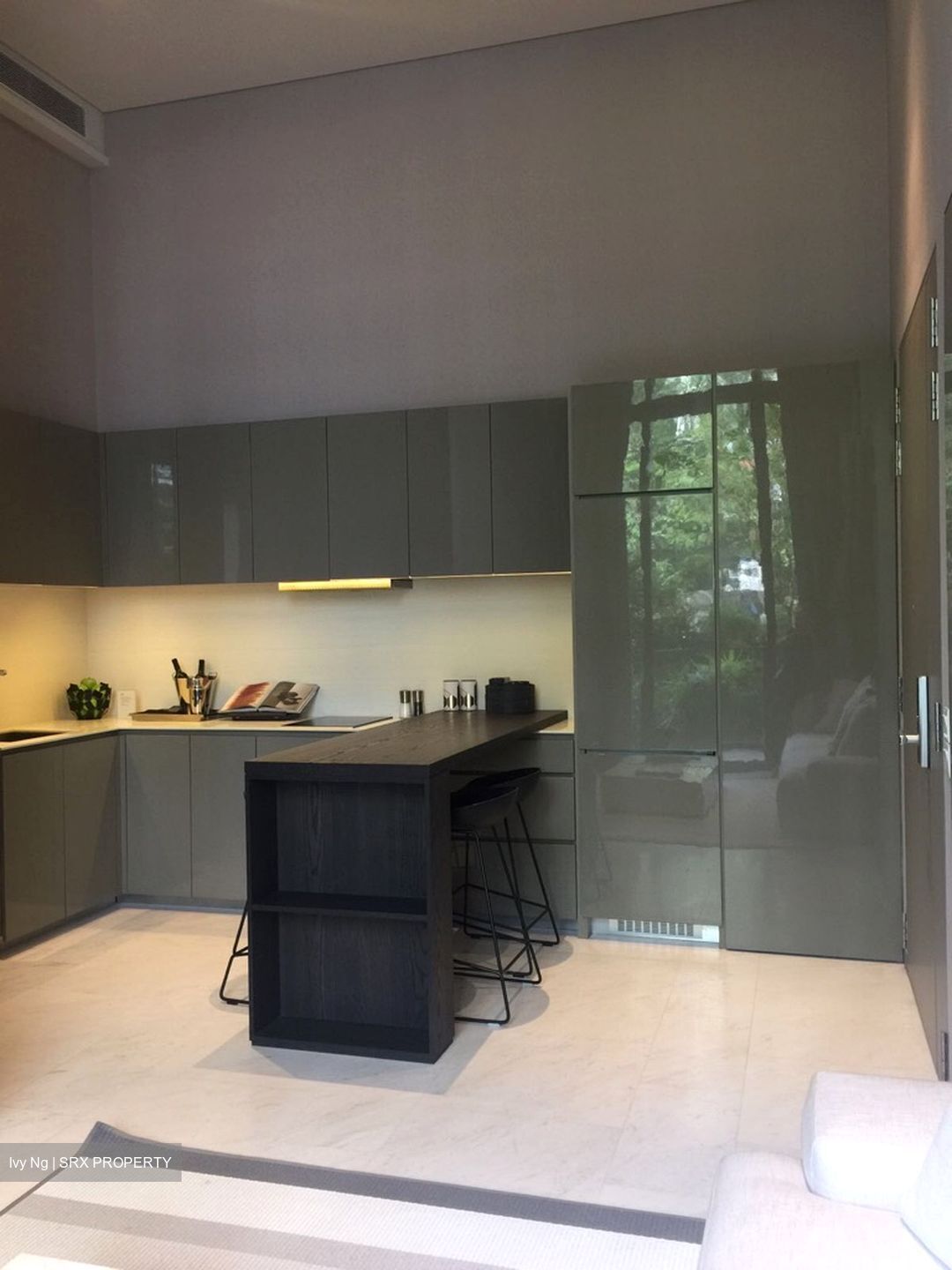 Robin Residences (D10), Condominium #605463461